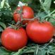 KEWALO TOMATO