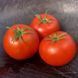 KEWALO TOMATO