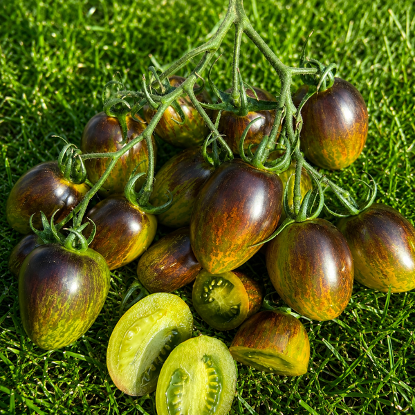 BRAD'S ATOMIC GRAPE TOMATO SEEDS