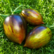 BRAD'S ATOMIC GRAPE TOMATO