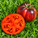 RASPBERRY NOSE OF SERGEANT PEPPER TOMATO
