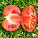 DWARF KING ARAMIS TOMATO