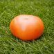 SYLVAN GAUME YELLOW TOMATO
