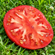 NEW BIG DWARF TOMATO