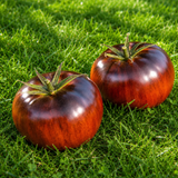 BLUE INN TOMATO