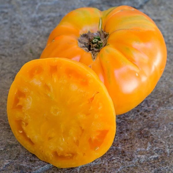 АМАНА ОРАНЖЕВЫЙ (AMANA ORANGE) ТОМАТ
