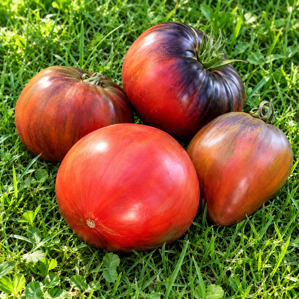 SYROP WIŚNIOWY&nbsp;(CHERRY SYRUP)