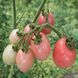 EI VON PHUKET TOMATO