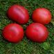 ZWART HEIL LEKKEN TOMATO