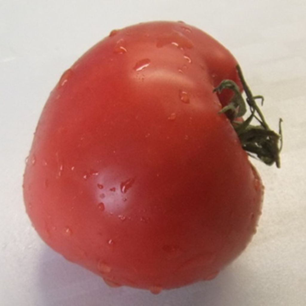 SCHLATT – large raspberry beefsteak