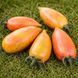 SWEET CREAM TOMATO