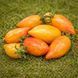 СЛАДКИЙ КРЕМ ТОМАТ