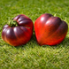 THE SEVERED EAR TOMATO