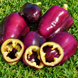 BELLEZA MORADA (PURPLE BEAUTY)