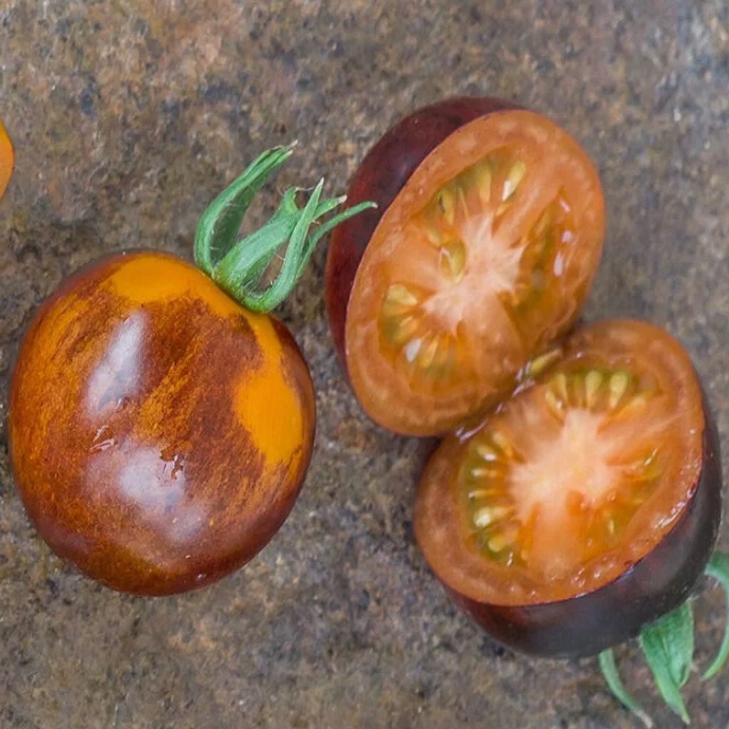 BLUE AMBROSIA TOMATO