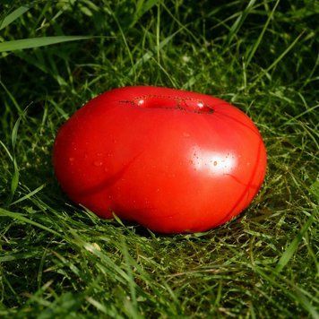 POMBRIEGO DEL BIERZO TOMATO
