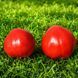 SWEET MIRACLE TOMATO