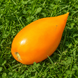 BURATINO TOMATO