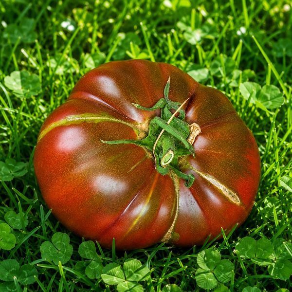 НЕ ПУРПУРНАЯ КЛУБНИКА (NOT PURPLE STRAWBERRY) 10583-1106G фото