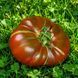 НЕ ПУРПУРНАЯ КЛУБНИКА (NOT PURPLE STRAWBERRY) 10583-1106G фото 2