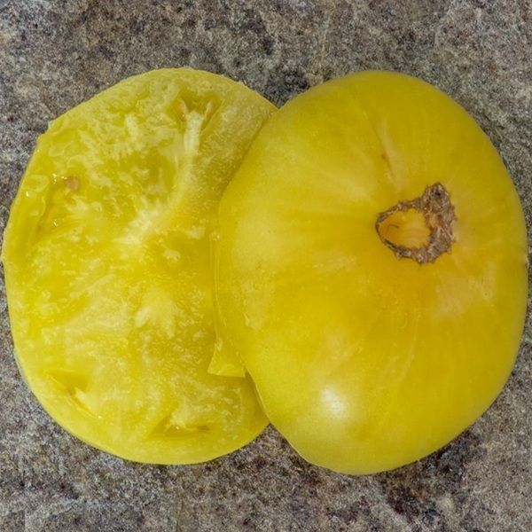 1884 ЖЕЛТО-РОЗОВОЕ СЕРДЦЕ (1884 YELLOW PINK HEART) ТОМАТ