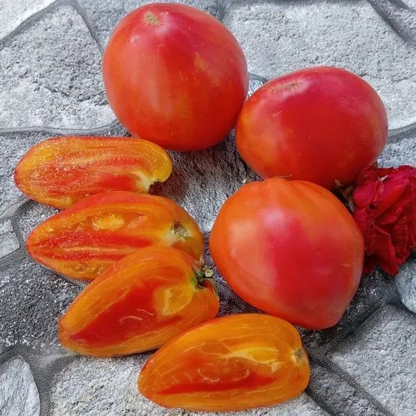 КОРОЛЕВСКОЕ СЕРДЦЕ (ROYAL HEART) T3-33G фото