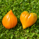 POMARAŃCZOWE SERCE ANGELINY (ANGELINA'S ORANGE HEART)