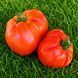 БИЧАЧЕ СЕРЦЕ ЛІННІ (LINNIE&rsquo;S OXHEART) 10136-1026G фото 2