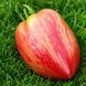 DWARF GRAIL TOMATO