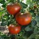 LADY BROWN TOMATO