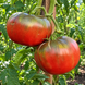 OWEN&rsquo;S PURPLE TOMATO