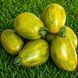 DWARF SAUCY MARY TOMATO
