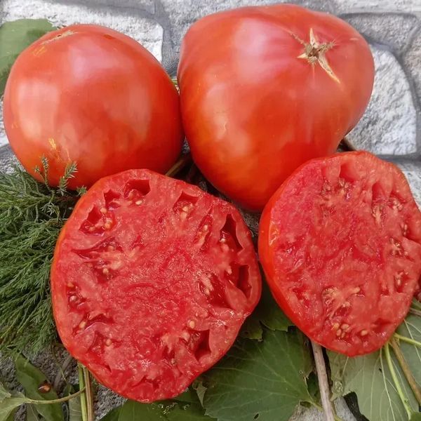 ЛИПЕЦКИЙ КРАСНЫЙ КРУПНЫЙ ТОМАТ