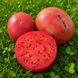 ARBOGAST TOMATO