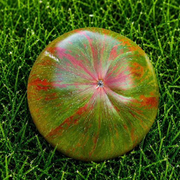 БЕРКЛИ ТАЙ ДАЙ ЗЕЛЕНЫЙ (BERKELEY TIE DYE GREEN) 10096-611G фото