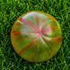 БЕРКЛИ ТАЙ ДАЙ ЗЕЛЕНЫЙ (BERKELEY TIE DYE GREEN) 10096-611G фото 2